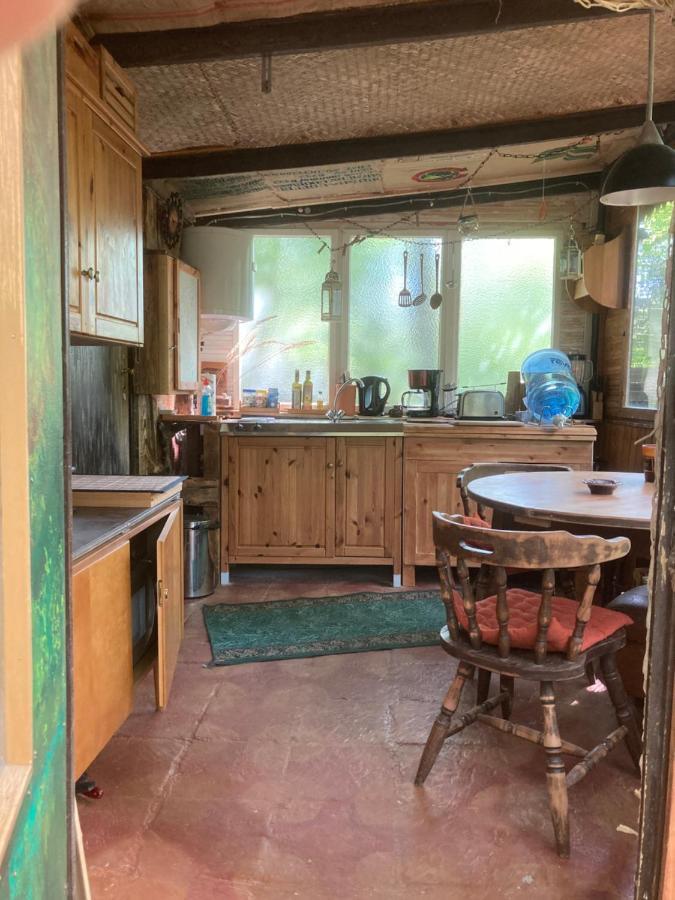 Bungalow Biberspur Zieko 외부 사진