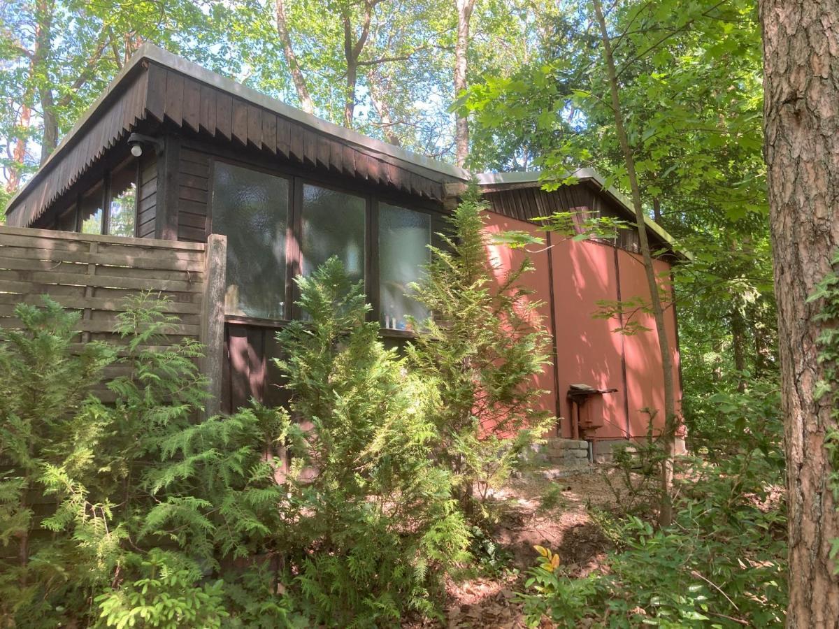 Bungalow Biberspur Zieko 외부 사진